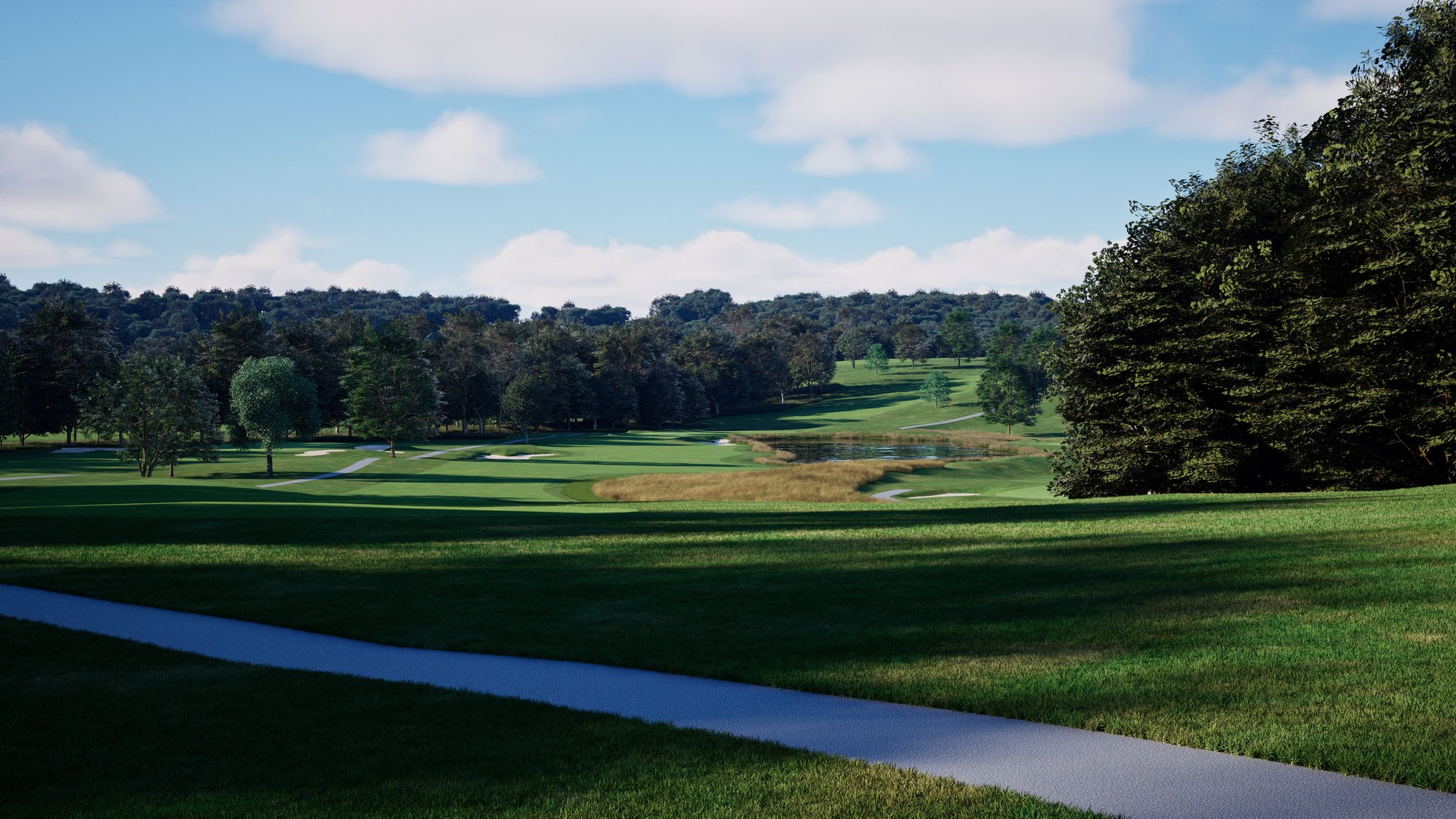 Hole 8 from the tee
