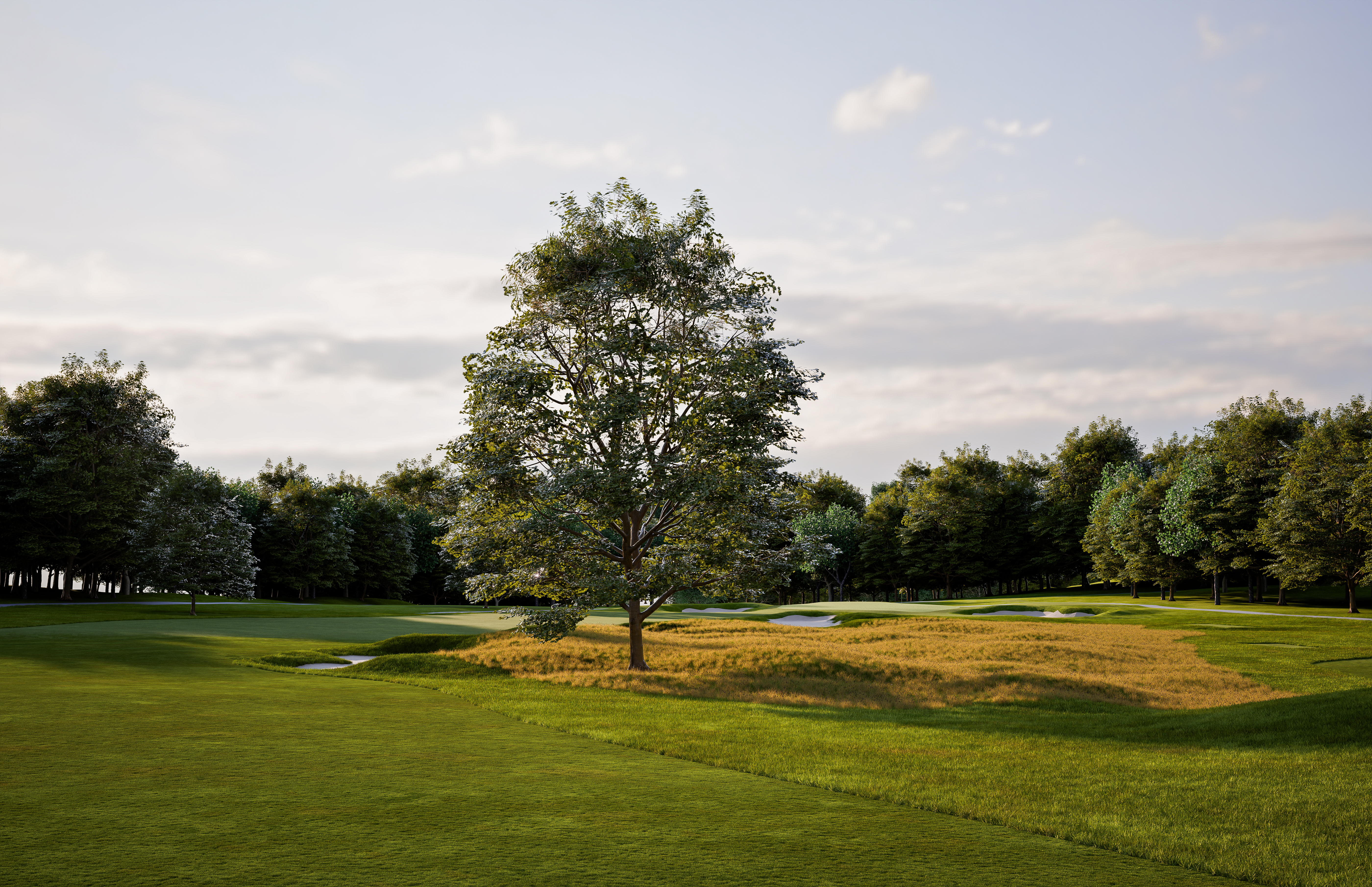 Mendham Hole 10 maple tree